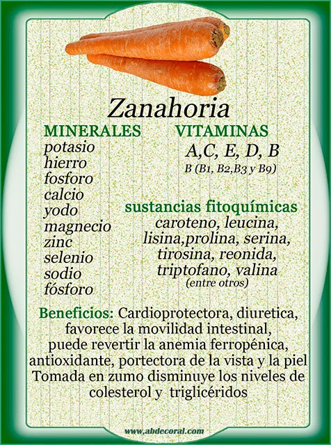 Zanahoria, minerales, vitaminas y sustancias fitoquímicas