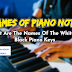NAMES OF PIANO NOTES:  (What Are The Names Of The  Black And The White Piano Keys) - Lesson 4