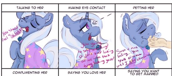 http://bow2yourwaifu.deviantart.com/art/Not-Doing-Hurtful-Things-To-Your-Waifu-2017-Trixie-658768936