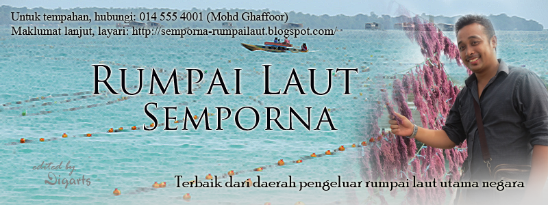 Hanya Rumpai Laut: Resepi Rumpai Laut