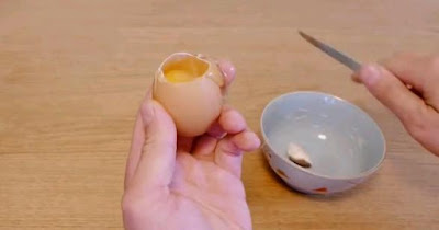 Pratik Bilgiler -Yumurtadan Saksı Nasıl Yapılır ? - Kendin Yap 