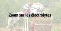  Zoom sur les électrolytes