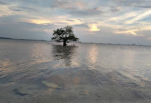 Pantai Ujung Piring Jepara