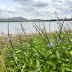 Gundamagere Lake - Bangalore Weekend Gateway