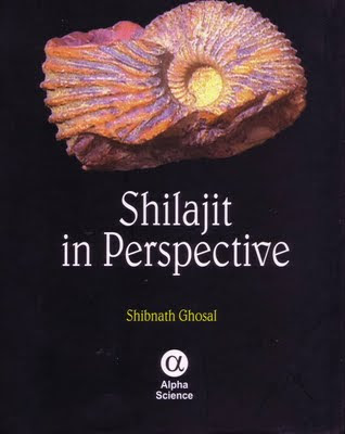 Shilajit Photo medicine