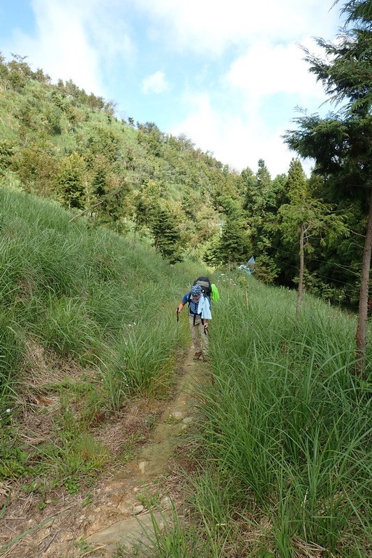 2014_1004 卓社林道登水社大山_018