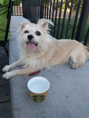 Sallie got some water at Starbucks.
