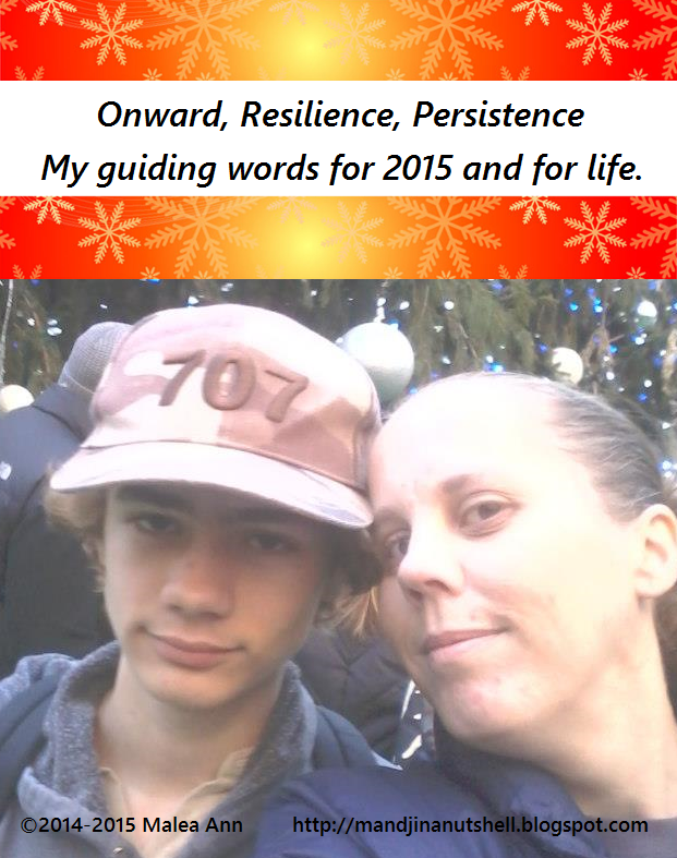 onward persistence resilience