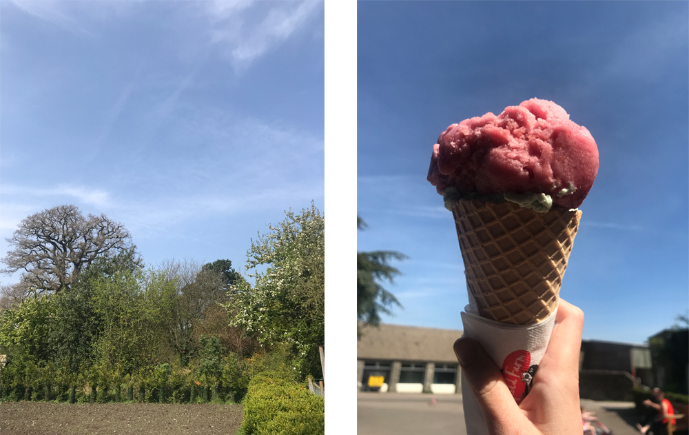 Strawberry Ice Cream in the Sun. April Round up photos