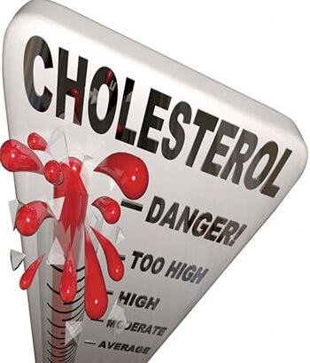  Obat  Tradisional Menurunkan Kolesterol  Obat  Tradisional 