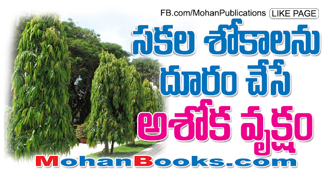 అశోక వృక్షం |  Ashoka tree | Mohanpublications | Granthanidhi | Bhakthipustakalu Ashoka Tree Ashoka Vanam Ashoka Vanam Sita Lanka India Srilanka Ashoka Chettu Mahaveer Sita Goddess Sita