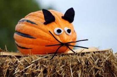 funny animal pumpkin without carving