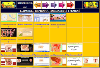http://www.ceip-diputacio.com/MITJA%20I%20SUPERIOR/medi/bloc3/reproduccio/reproduccio.htm
