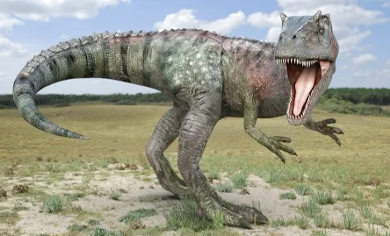 Allosaurus