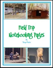 FT notebooking pages snip