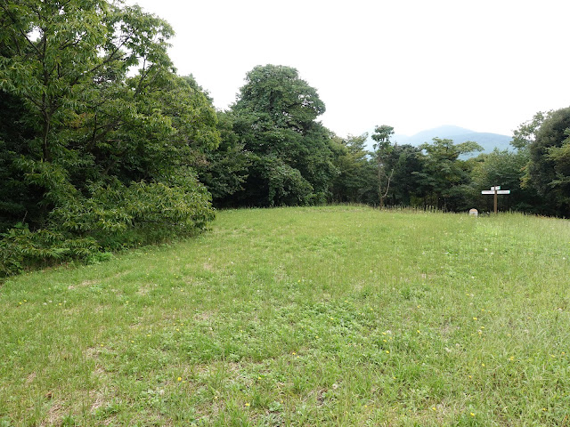 むきばんだ史跡公園の弥生の森