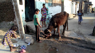 water-crisis-bihar