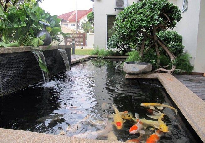  Desain  Kolam  Ikan  Koi  Minimalis Sederhana Depan Rumah 