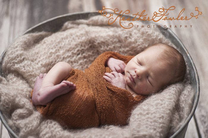 Philadelphia newborn photographer