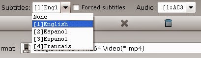 select subtitles