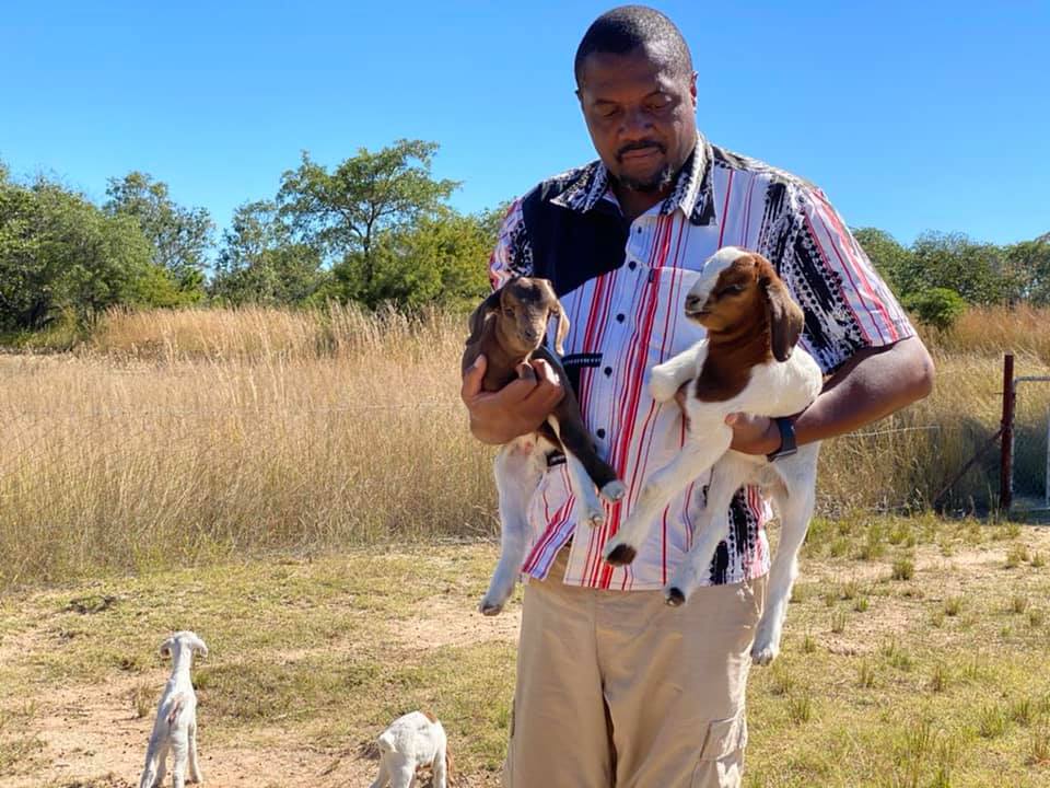 ‘Goat Grab’ By Zanu-PF Youth Foiled by Zimbabwean Journalist and Allies
