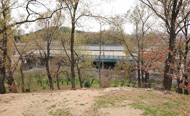 古室山古墳(藤井寺市)