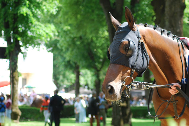 LongChamp racecourse inspired the fashion brand