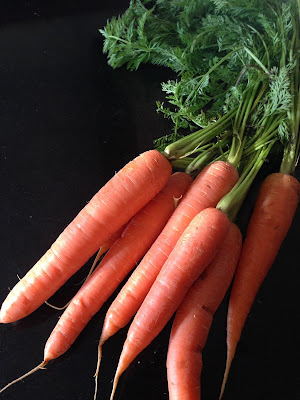 Organic carrots 