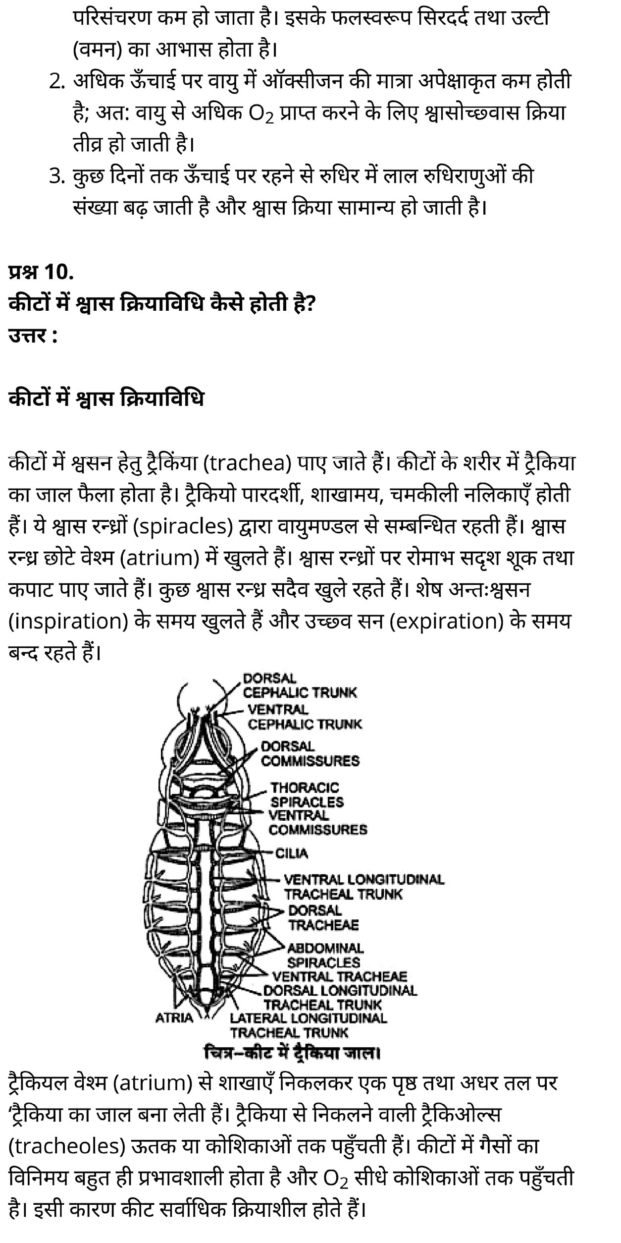 कक्षा 11 जीव विज्ञान अध्याय 17 के नोट्स हिंदी में एनसीईआरटी समाधान,   class 11 Biology Chapter 17,  class 11 Biology Chapter 17 ncert solutions in hindi,  class 11 Biology Chapter 17 notes in hindi,  class 11 Biology Chapter 17 question answer,  class 11 Biology Chapter 17 notes,  11   class Biology Chapter 17 in hindi,  class 11 Biology Chapter 17 in hindi,  class 11 Biology Chapter 17 important questions in hindi,  class 11 Biology notes in hindi,  class 11 Biology Chapter 17 test,  class 11 BiologyChapter 17 pdf,  class 11 Biology Chapter 17 notes pdf,  class 11 Biology Chapter 17 exercise solutions,  class 11 Biology Chapter 17, class 11 Biology Chapter 17 notes study rankers,  class 11 Biology Chapter 17 notes,  class 11 Biology notes,   Biology  class 11  notes pdf,  Biology class 11  notes 2021 ncert,  Biology class 11 pdf,  Biology  book,  Biology quiz class 11  ,   11  th Biology    book up board,  up board 11  th Biology notes,  कक्षा 11 जीव विज्ञान अध्याय 17, कक्षा 11 जीव विज्ञान का अध्याय 17 ncert solution in hindi, कक्षा 11 जीव विज्ञान  के अध्याय 17 के नोट्स हिंदी में, कक्षा 11 का जीव विज्ञान अध्याय 17 का प्रश्न उत्तर, कक्षा 11 जीव विज्ञान अध्याय 17 के नोट्स, 11 कक्षा जीव विज्ञान अध्याय 17 हिंदी में,कक्षा 11 जीव विज्ञान  अध्याय 17 हिंदी में, कक्षा 11 जीव विज्ञान  अध्याय 17 महत्वपूर्ण प्रश्न हिंदी में,कक्षा 11 के जीव विज्ञानके नोट्स हिंदी में,जीव विज्ञान  कक्षा 11 नोट्स pdf,