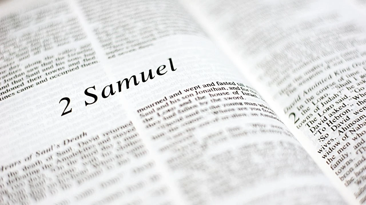 Catholic Introduction To The Old Testament: Second Book of Samuel