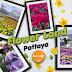 Flower Land Pattaya 