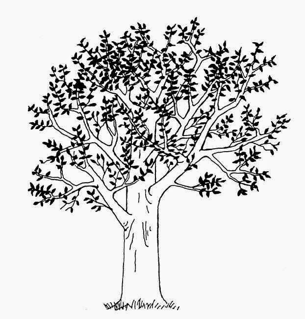 Tips dan Contoh Menggambar Pohon dalam Soal Psikotes 