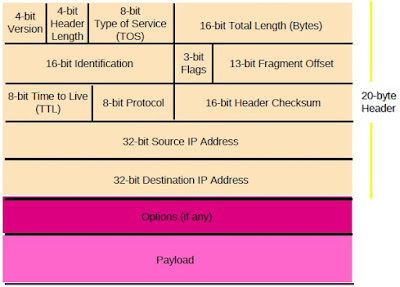 IPv4 Packet Structure