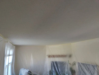 Popcorn Ceiling Removal in Lancaster NY 14086