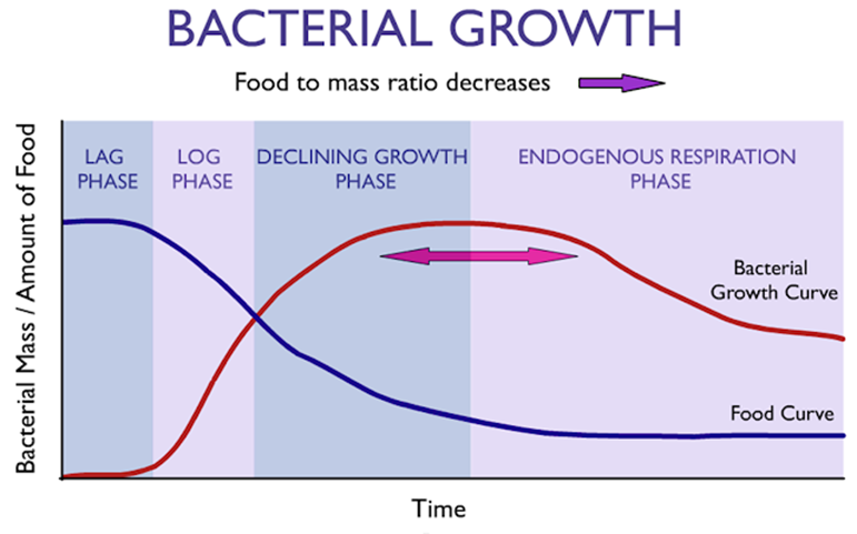 Crecimiento bacteriano. Gráfica de una población bacteriana típica basada en múltiples muestreos experimentales, "datos con los que no contaba Malthus, pero que sin duda señalan su punto". El crecimiento exponencial no puede mantenerse indefinidamente en un sistema cuyos recursos son limitados.