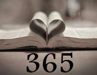 365