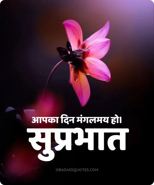 Beautiful Good Morning Images In Hindi 2021 à¤¸ à¤ª à¤°à¤­ à¤¤ Badass Quotes