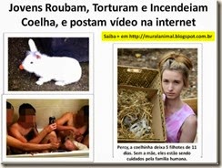 Incendeiam Coelha_thumb[1]