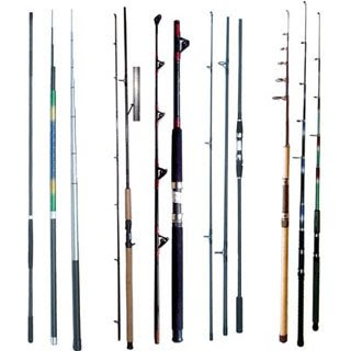 Deep  Fish Types on Absolute Fishing   Welcom To Deep Sea Fishing Anonymous