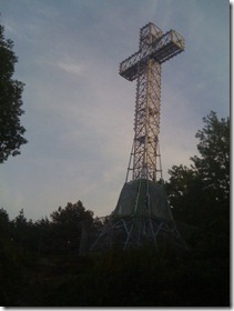 forest4