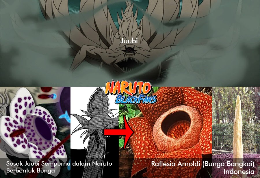 Narutoblackfans Co Id