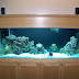 DIFFERENT TYPES OF SALTWATER TANKS