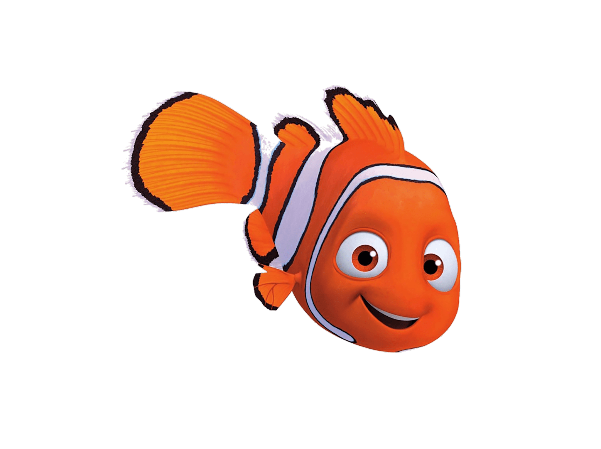Imágenes clipart de Buscando a Nemo PNG fondo transparente