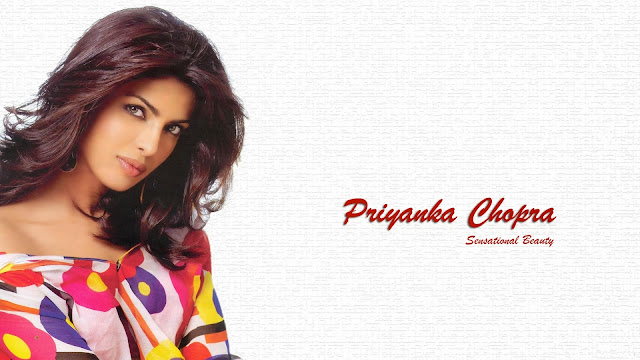 Priyanka Chopra  HD Wallpaper Free Download