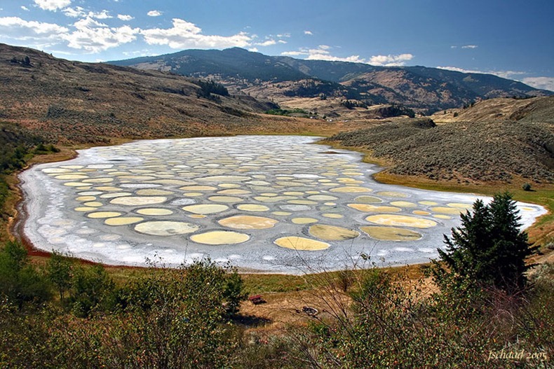 Spotted Lake Canada Amusing Planet