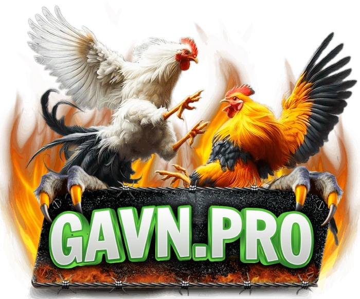 logo-gavn-pro