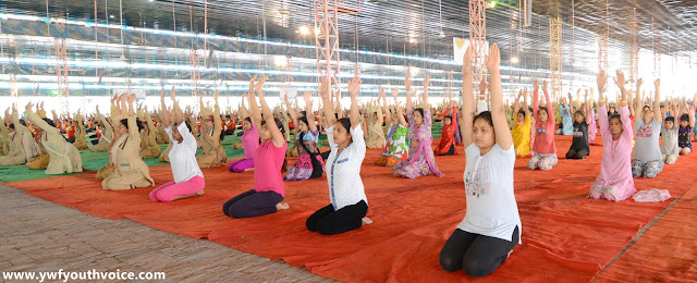 International Yoga Day Camp 2016 - Dera Sacha Sauda, Green S Welfare Force and Dera Sacha Sauda Shah Satnam Ji Educational Institute students performing yoga, डेरा सच्चा सौदा में आयोजित योग शिविर
