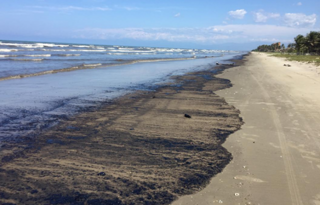 Denuncian daño ambiental en el Parque Nacional Morrocoy