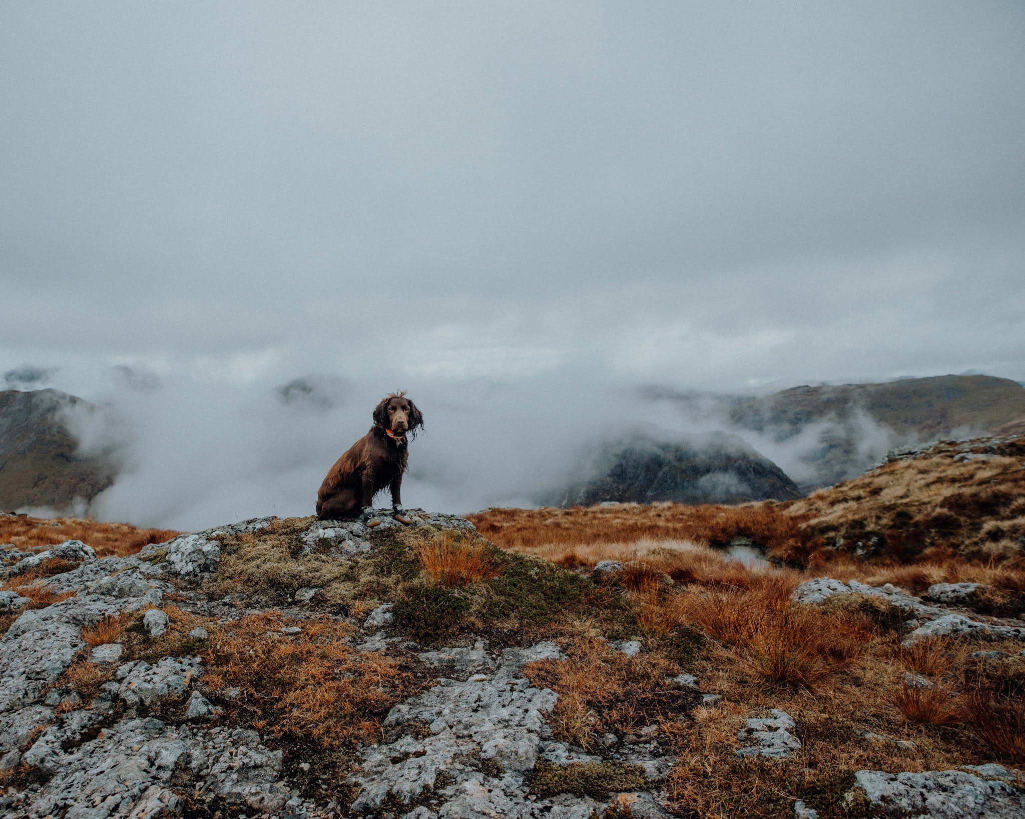 glencoe mountain munro autumn scotland liquid grain