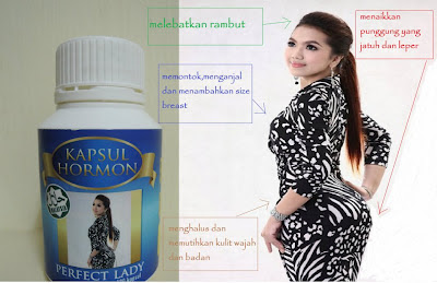 Mysweetbeautyshops: RAHSIA WANITA - PIL HORMON PERFECT 